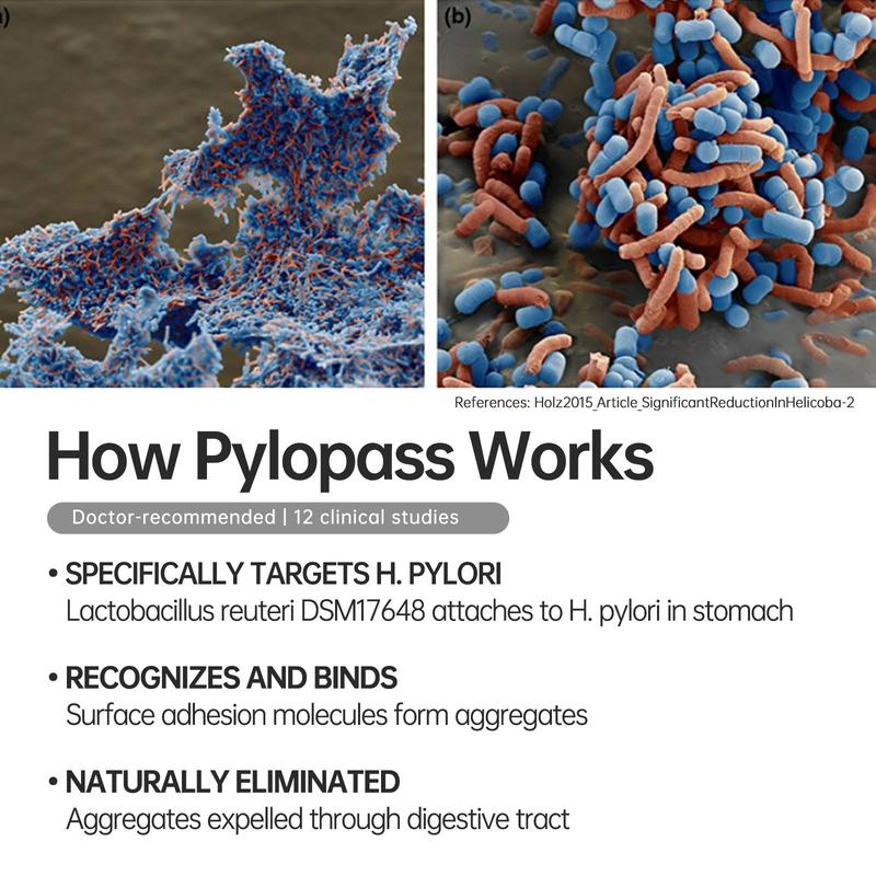 5-in-1 Advanced Pylopass H. Pylori Probiotic Support